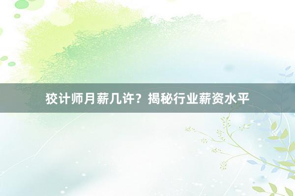 狡计师月薪几许？揭秘行业薪资水平